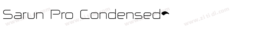 Sarun Pro Condensed字体转换